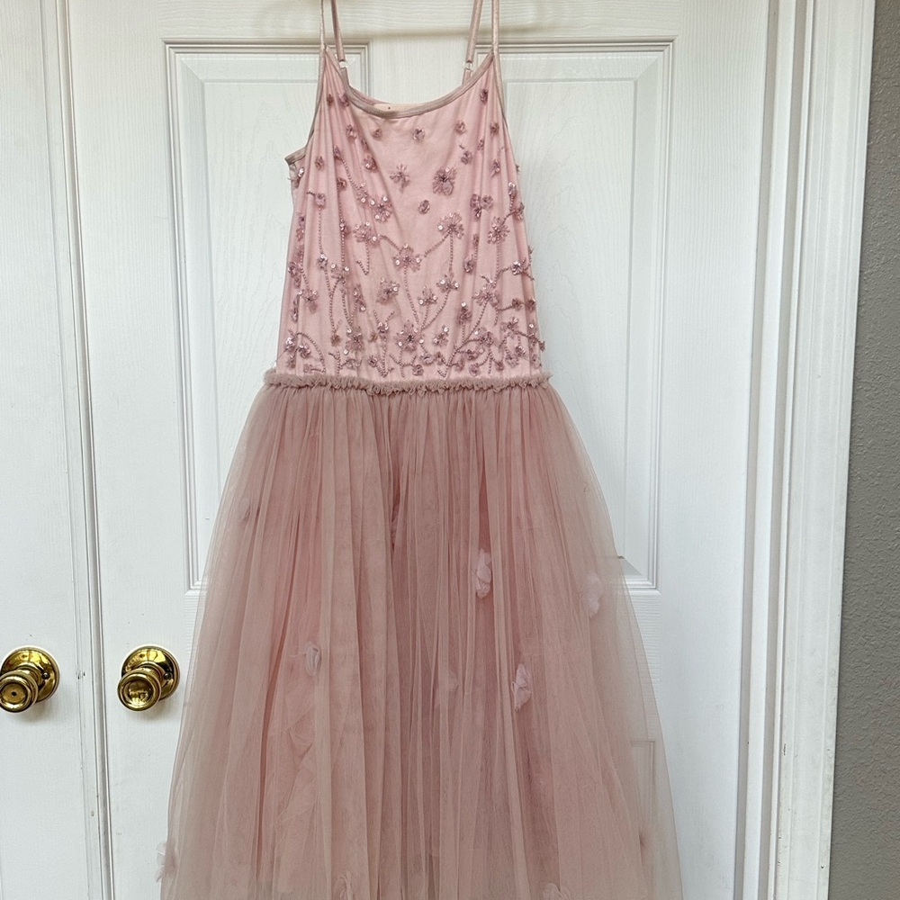 Tutu Du Monde Blush Pink Floral Dance Costume